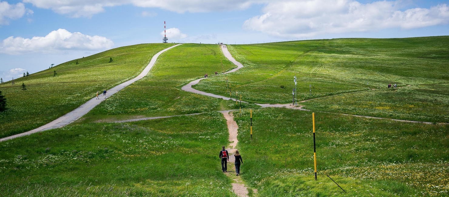 zwei Wanderer am Feldberg von hinten, man sieht im Hintergrund den feldbergturm, die Wiesen sind saftig grün