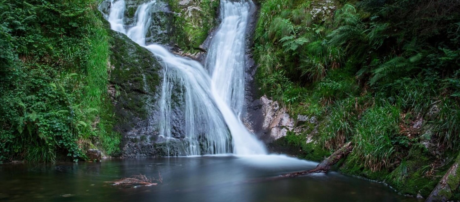 Ein Wasserfall mündet in natürlicher Umgebung in einen Wasserlauf.
