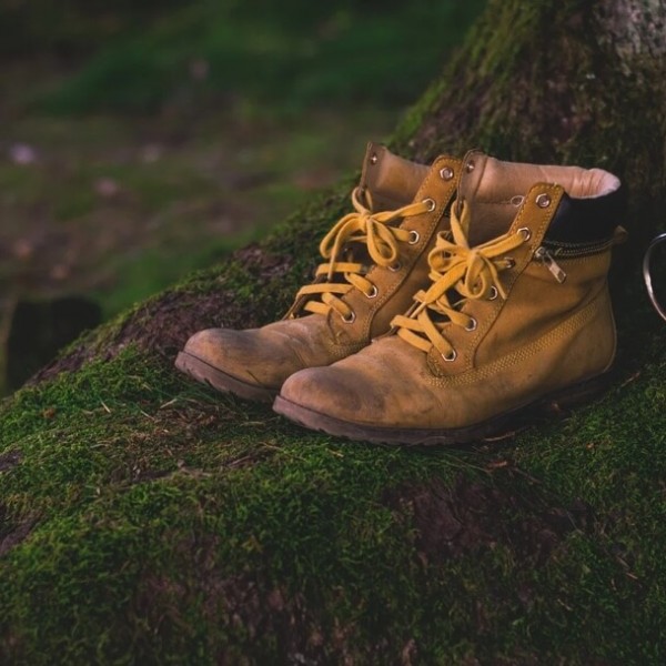 Ein Paar braune Lederschuhe stehen auf mossbedeckten Wurzelwerk.